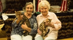 Kot bengalski: lampart w miniaturze